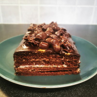 Vegan and gluten-free chocolate cake