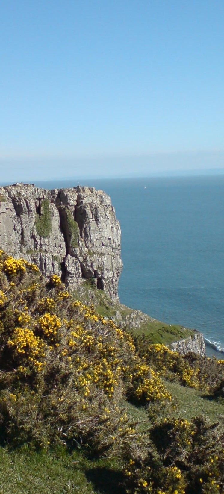 Gower Peninsula